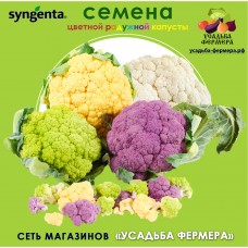 Гибриды радужной цветной капусты Syngenta