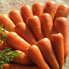 Морковь Шантенэ Королевская в кг ПП