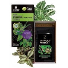 Набор Цион (Zion) для посадки декоративных комнатных растений (10шт)