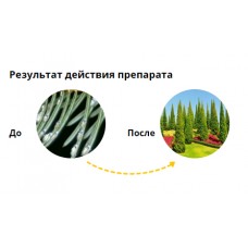 Пиноцид фл 10мл Незаменимый препарат от комплекса вредителей на хвойных растениях.(80шт)Авг Новинка