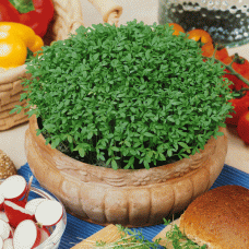 Салат кресс-салат Весенний 1г б/п Гавриш