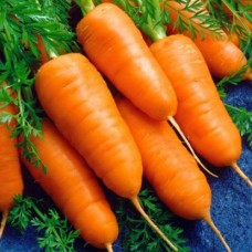 Морковь Шантенэ 2461 10г з/п сред. ранн. РС