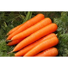 Морковь Витаминная 6 10г з/п РС