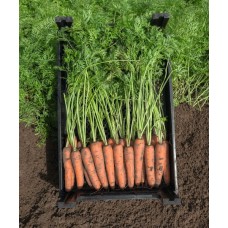 Морковь Нарбонне F1 0,5г Мировые Семена VITA GREEN