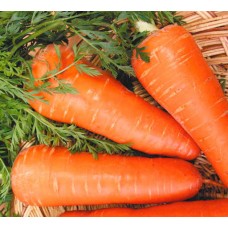 Морковь Шантенэ Роял (имп) в кг сред. ПП