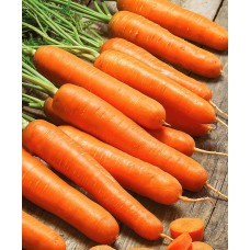Морковь Лагуна F1  0,5г Мировые Семена VITA GREEN
