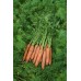Морковь Самсон 500г ВЕ