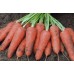 Морковь Карини 10г з/п ран. BE