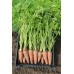 Морковь Карсон F1 2,0-2,2 (100 000шт) ВЕ