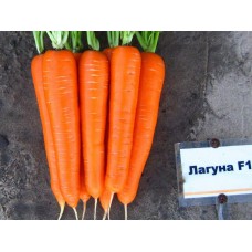 Морковь Лагуна F1 (500шт) з/п N
